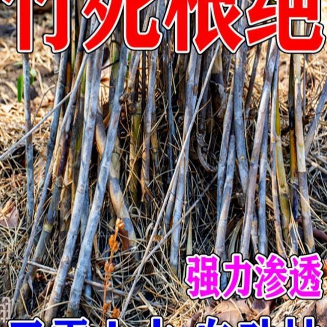 灭竹子的药竹根连根烂强力除竹子烂根药荒地除草烂根剂杂竹净专用