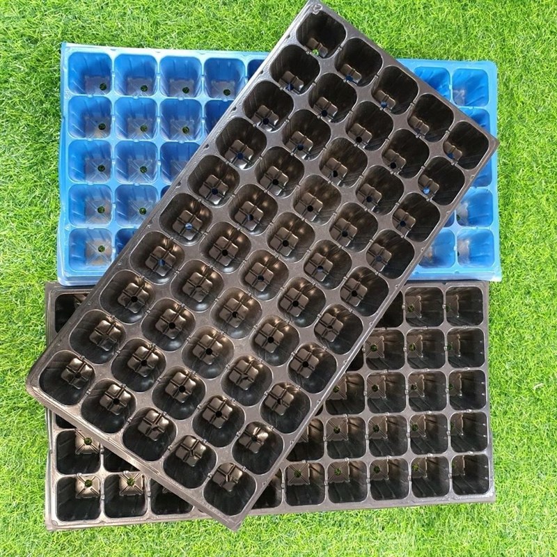 育苗盘宽底50孔穴盘无纺布美植袋花卉桉树五指毛桃扦插育苗杯育苗