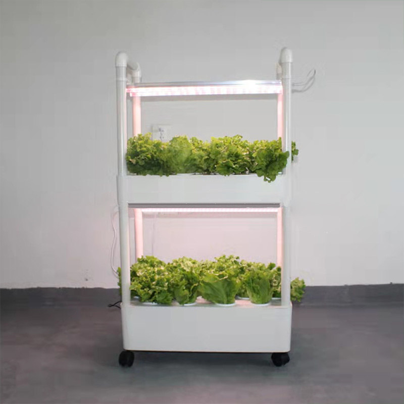 无土栽培设备家庭阳台种植蔬菜草莓自动水培水耕多层立体种菜机