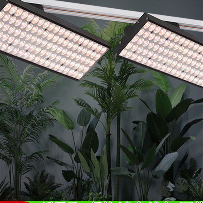 全光谱泛光灯植物生长填充灯太阳热植物龙舌兰绿色植物景观墙填充