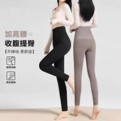 秋裤 高腰收腹打底裤 大码 秋配裙子冬提臀显瘦高弹保暖裤 女2026新款