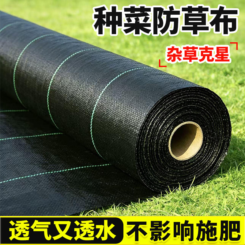 生态防草布除草布果树专用新型地布加厚透水地膜庭院遮草布盖草布