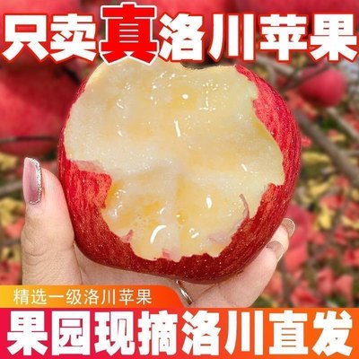正宗陕西洛川苹果水果新鲜当季整箱红富士冰糖心一级脆甜包邮2025