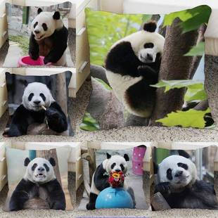 大熊猫灵岩抱枕图片定制diy制作办公室午睡靠垫腰垫