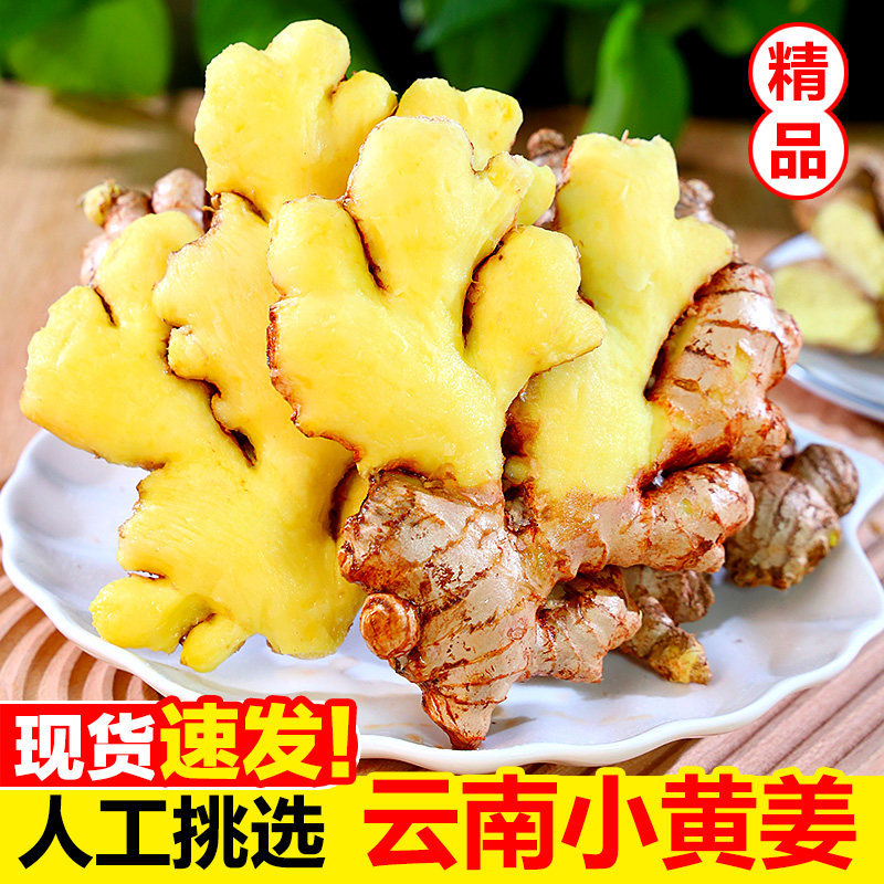 正宗云南小黄姜高山现挖农家新鲜生姜月子姜老姜批发包邮蔬菜香辣