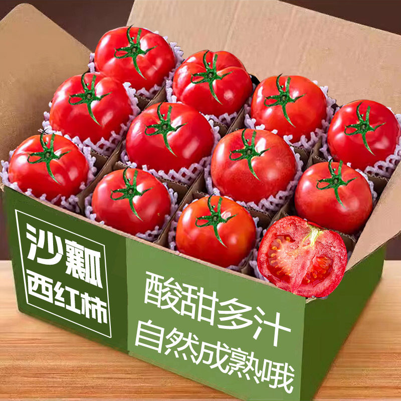 沙瓤西红柿8-18颗，酸甜多汁！