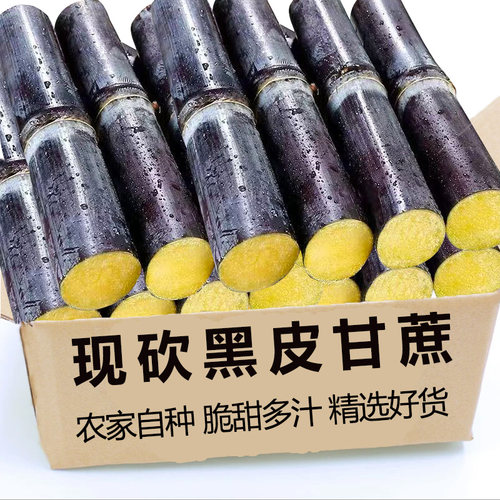黑皮甘蔗2.7斤，脆甜多汁！