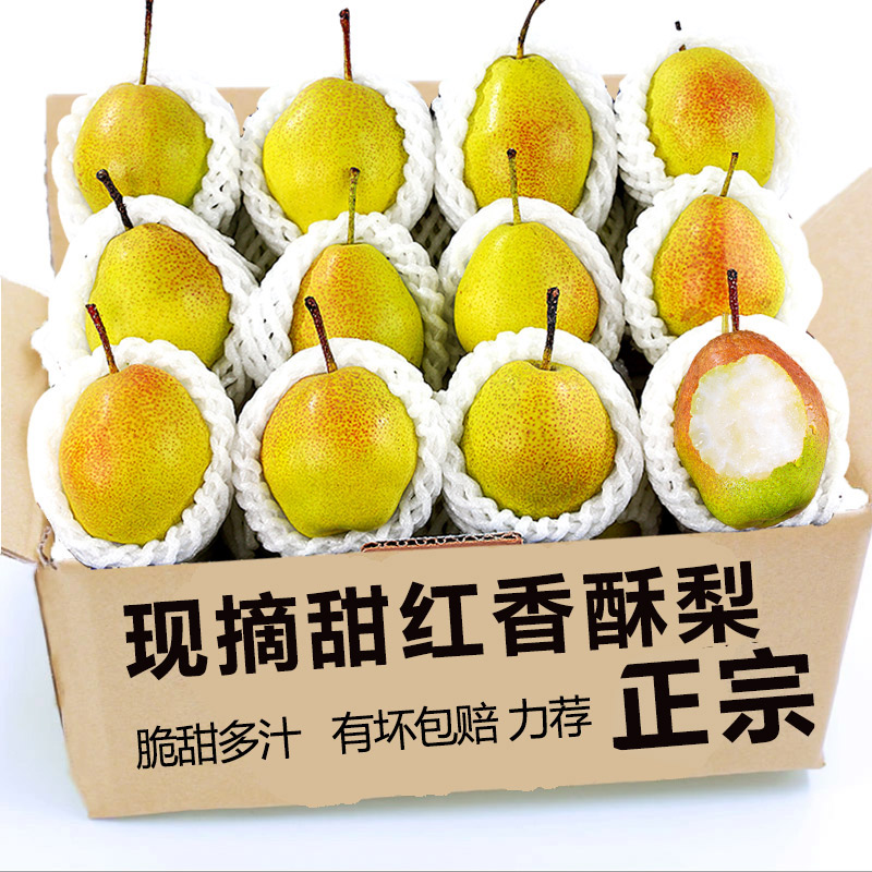 红香酥梨水果新鲜整箱当季包邮薄皮青酥梨脆蜜雪梨香梨梨子
