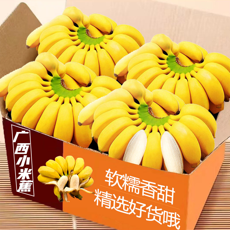香蕉广西小米蕉当季新鲜水果自然熟小香蕉香甜芭蕉皇帝蕉整箱现摘