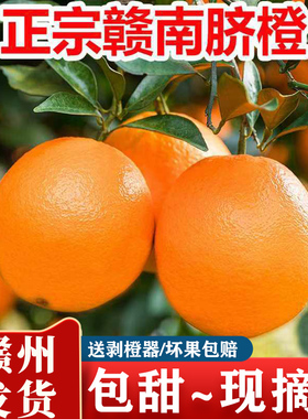 正宗江西赣州赣南脐橙新鲜水果10斤产地直发当季整箱橙子现摘冰糖