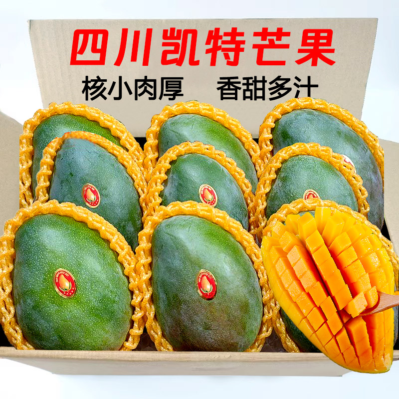 四川攀枝花凯特芒果新鲜水果5斤当季整箱包邮特大10青忙时令芒果