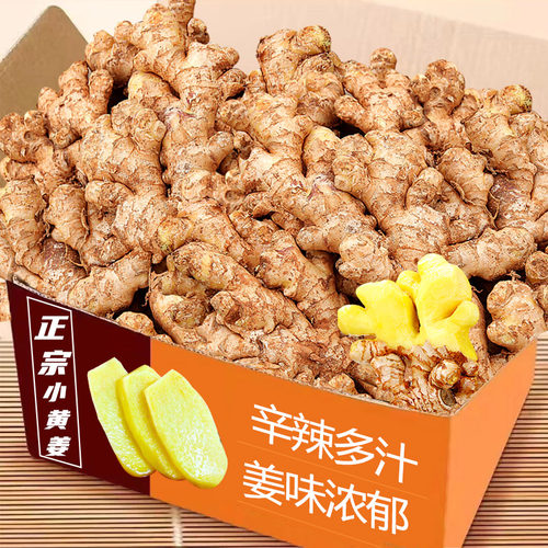 小黄姜3斤，姜味浓郁，特价！