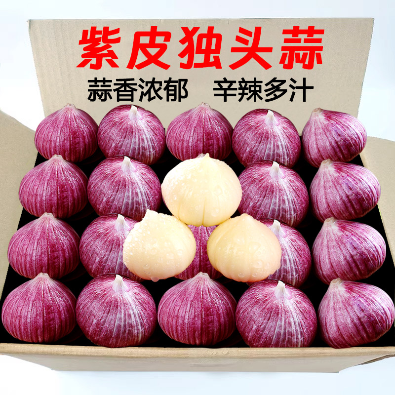 2026独头蒜新鲜应季紫皮干大蒜独头现挖农家晒干优质蔬菜当季包邮