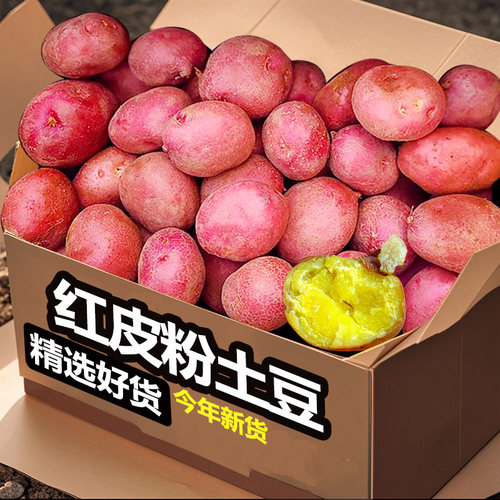 云南高山马铃薯新鲜红皮土豆黄心土豆农家洋芋小土豆蔬菜包邮当季
