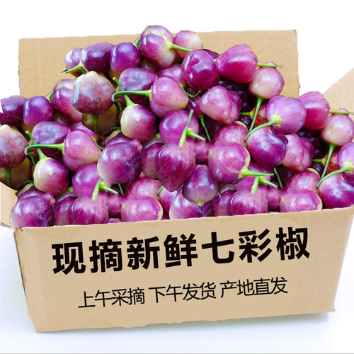 七彩小辣椒，香味浓郁！好吃！