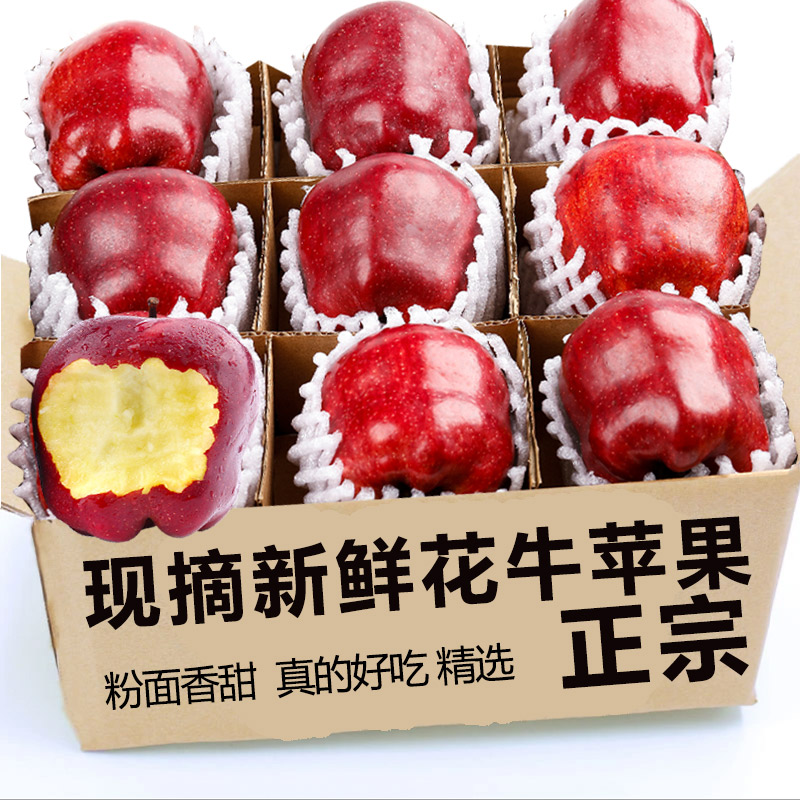花牛苹果正宗甘肃天水现摘水果新鲜整箱当季糖心红蛇粉面丑平安果