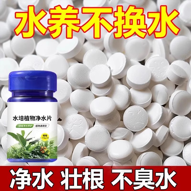 水培植物净水片除臭杀菌消毒