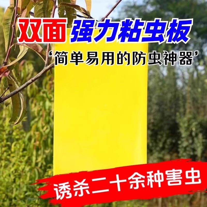 粘虫板黄板双面小飞虫灭杀神器
