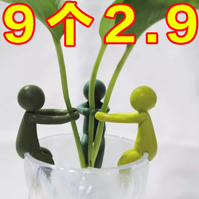 新款水培植物生长伴侣水培器