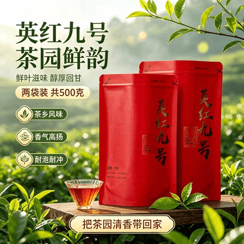 正宗英德红茶英红九号茶叶自己喝送礼一级浓香型口粮新茶袋装500g