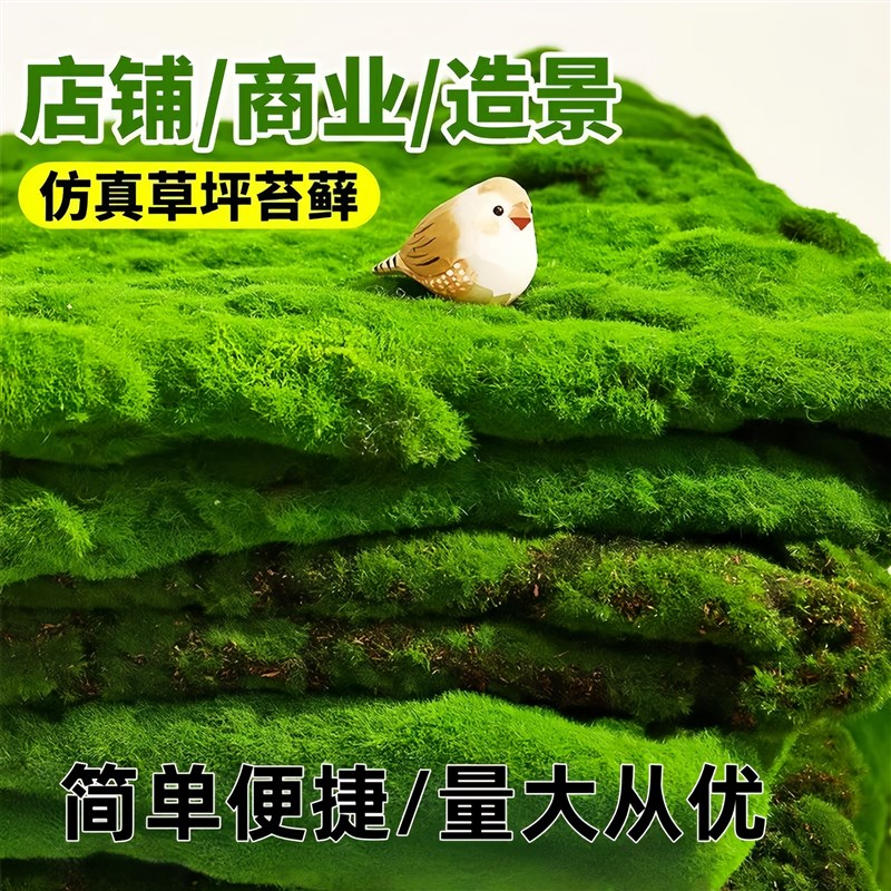 仿真苔藓青苔人造假永生草坪草皮微景观绿植物装饰造景花盆景铺面
