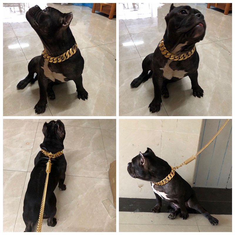 高档不锈钢狗链中大型犬狗项圈狗脖套牵引链子土豪金卡斯罗恶霸