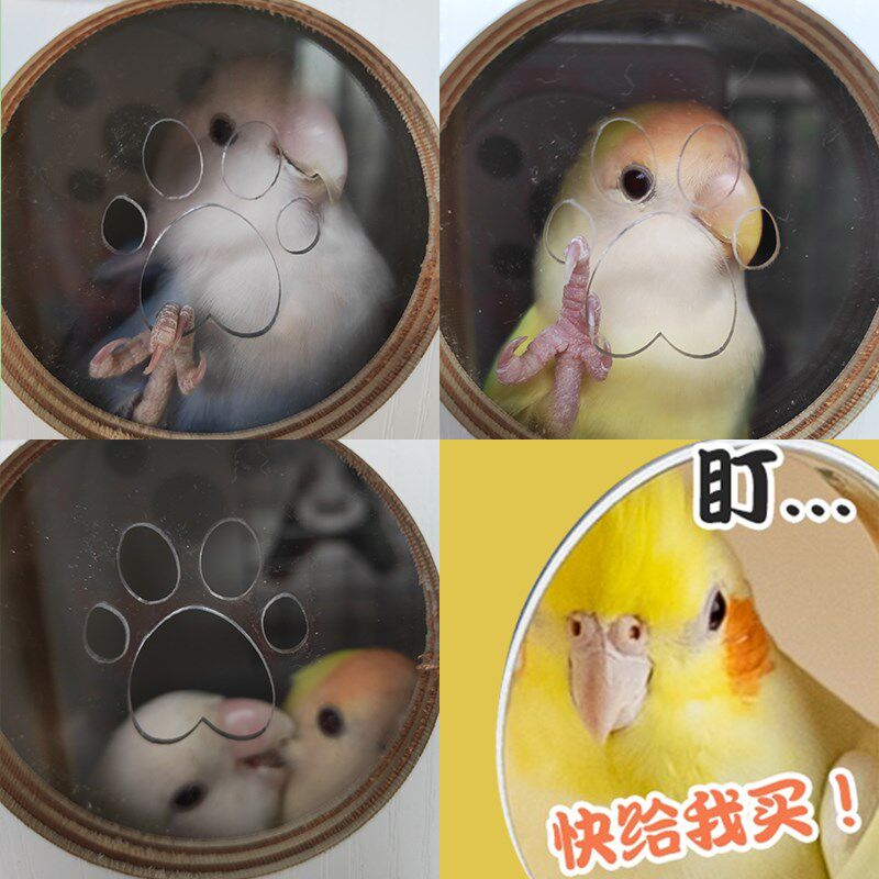 鹦鹉繁殖箱保温箱玄凤虎皮牡丹文鸟类用品竖式鸟挂窝巢孵化鹦鹉
