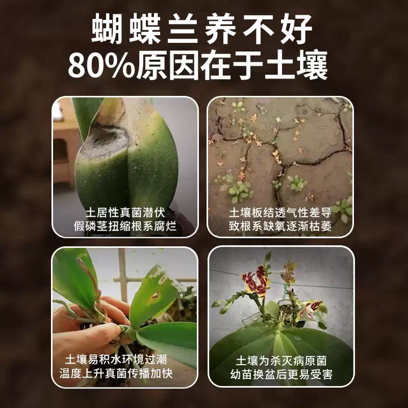 蝴蝶兰专用土兰花专用水苔植料养蝴蝶兰盆栽种植颗粒松树皮营养土