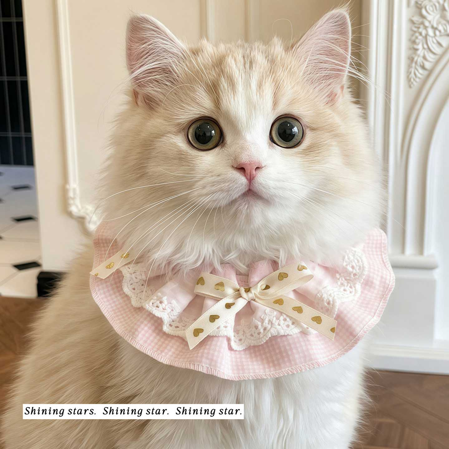 宠物猫咪狗狗围脖小猫小狗口水巾蕾丝花边蝴蝶结猫猫围兜围巾