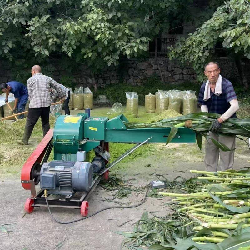 新鲜牧草饲料粉碎机鸡鸭鹅饲料打浆机大型高产蔬菜瓜果粉碎机