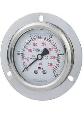 极速不锈钢耐震压j力表YN60ZTBF背接式油压气压水压2分4分M1415轴