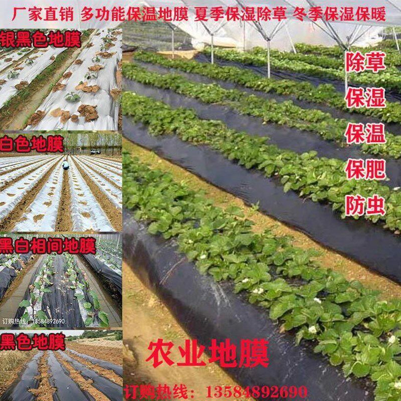 极速新品色黑白ck反光棚黑银大膜黑色白色地膜膜塑料薄膜膜地膜农