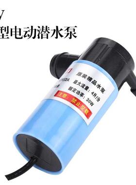极速家用排污迷你用水12水泵洗车220水井抽水小型抽水机vZ12v高压