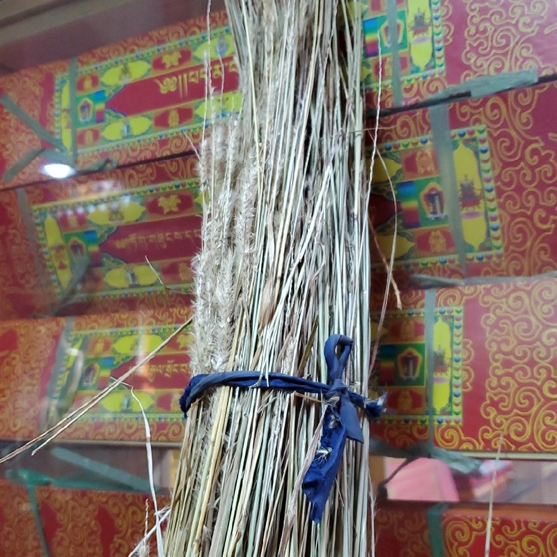 速发法会 佛事 火供烟供用品 熏香 长寿草 吉祥草 百节草 一把