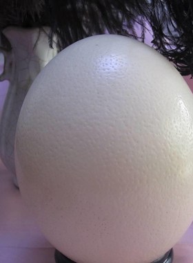 极速鸵鸟蛋壳蛋托鸸n鹋驼鸟蛋雕工艺品水晶球托架托盘支架球形底