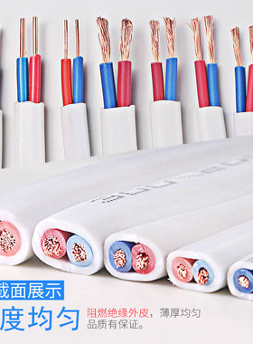 极速白色纯铜电线2.5平方铜芯家用2芯护F套线1.5 4 6家装电源软电