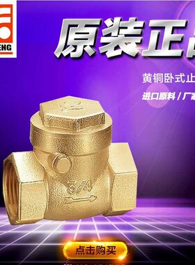 极速。卧式全铜 水阀 止逆阀 逆止阀 4分B6分 1寸 DN50 65 80 100