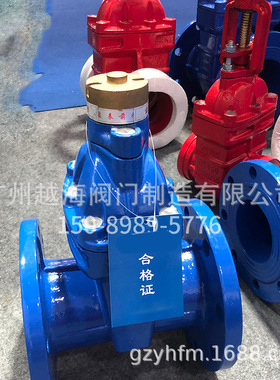 供应FDZ45x 防盗闸阀 锁闭软密封闸阀 加密闸阀球墨铸铁法兰闸阀