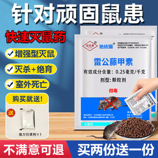 地依猫0.25毫克/千克雷公藤甲素家鼠 害鼠 田鼠杀鼠剂