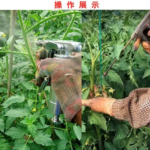 极速授粉器点花器西红柿喷花w器番茄樱桃喷花器黄瓜手动沾花器授