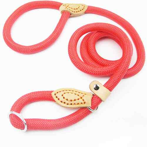 极速Dog Leagsh Rope Adjustable Collar Training Leashes Large