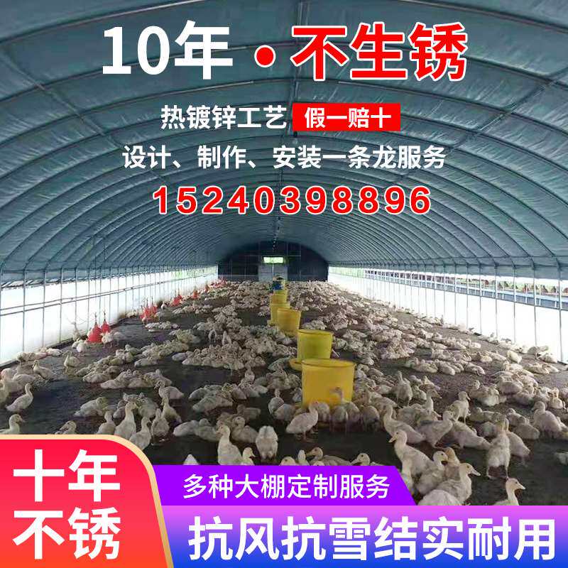 极速羊圈保温钢管鹅牛棚全套养殖养鸡场鸭温室骨S架椭圆.管大棚猪