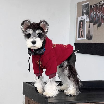 衣服狗狗冬装小型犬雪纳瑞泰迪博美过年保暖新年喜庆加绒加厚卫衣