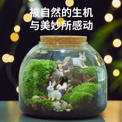 微景观生态瓶苔藓玻璃瓶水培植物玻璃花瓶造景玻璃容器带灯