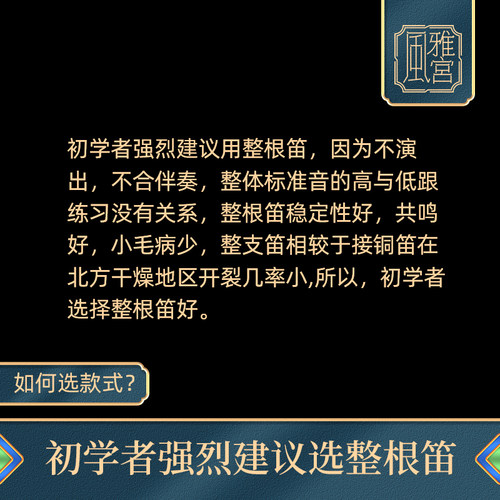 王建宏宫音笛(特制)演奏学z习入门笛子横笛初学古风接铜整支