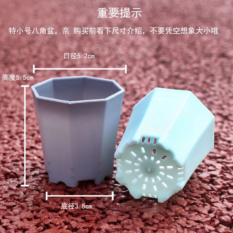 园艺多肉盆 桌面绿植花盆栽迷你八角盆塑料盆 简约V白色育苗箱包