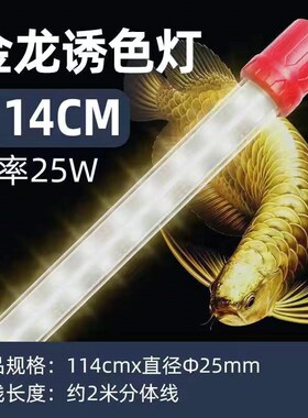 鱼缸灯LED灯照明灯防水水族箱金龙鱼灯黄色鹦鹉鱼黄色锦鲤专用灯