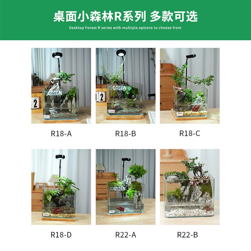 微景观生态流水造景玻璃鱼缸桌面办公室装饰真石头真绿植物水陆缸