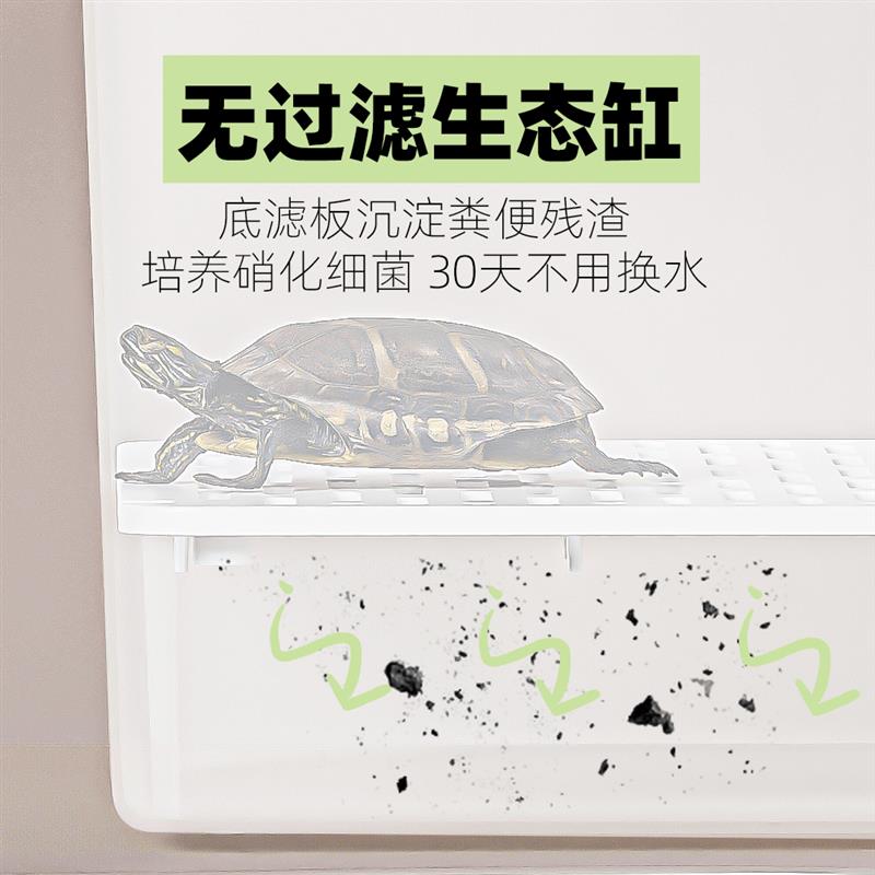 乌龟饲养缸底排水培殖箱龟苗隔离盒可分隔带沉淀板发色龟箱生态缸
