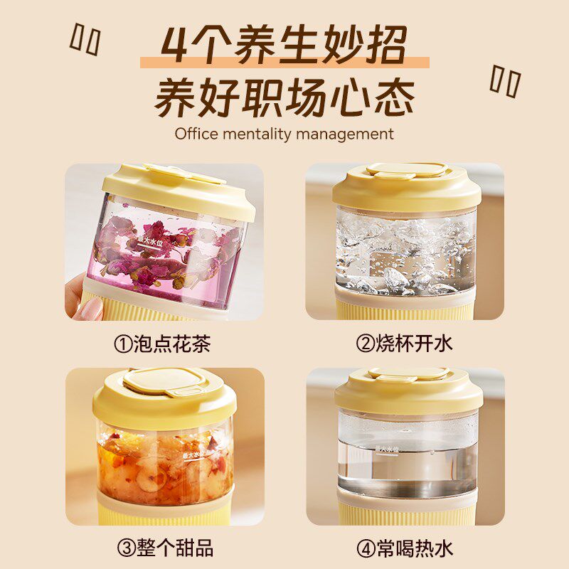 斗禾迷你电热养生杯 带保温功能0.5L煮茶器 高硼硅玻璃壶